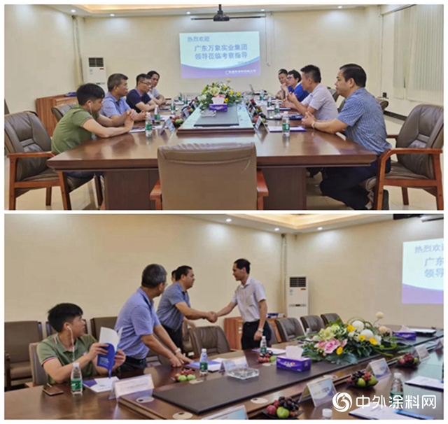 萬象實業集團領導蒞臨南天考察指導