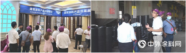 大灣區開發商考察團到訪美塗士