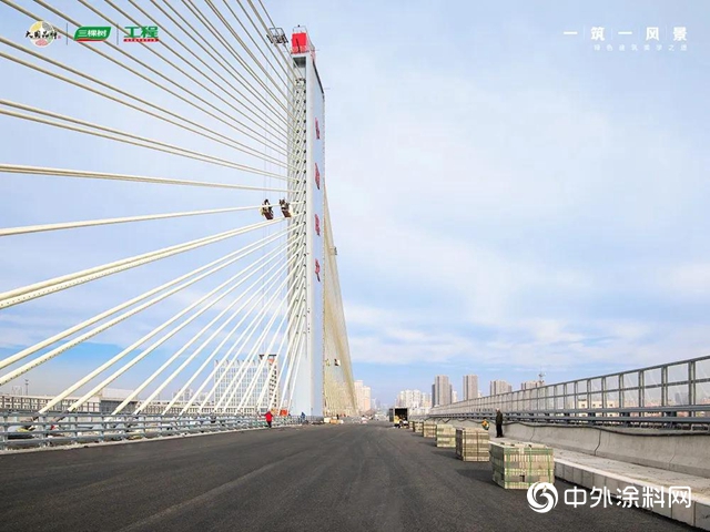三棵樹助力承載世界三項之最——樂凱大街南延工程斜拉橋順利通車
