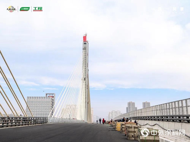 三棵樹助力承載世界三項之最——樂凱大街南延工程斜拉橋順利通車