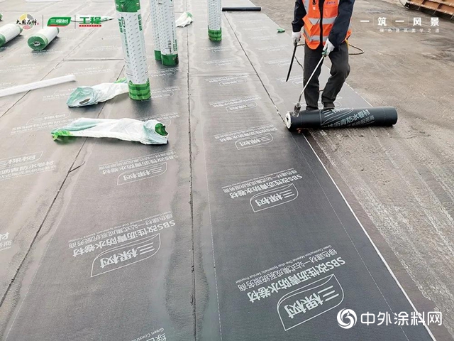 三棵樹助力承載世界三項之最——樂凱大街南延工程斜拉橋順利通車