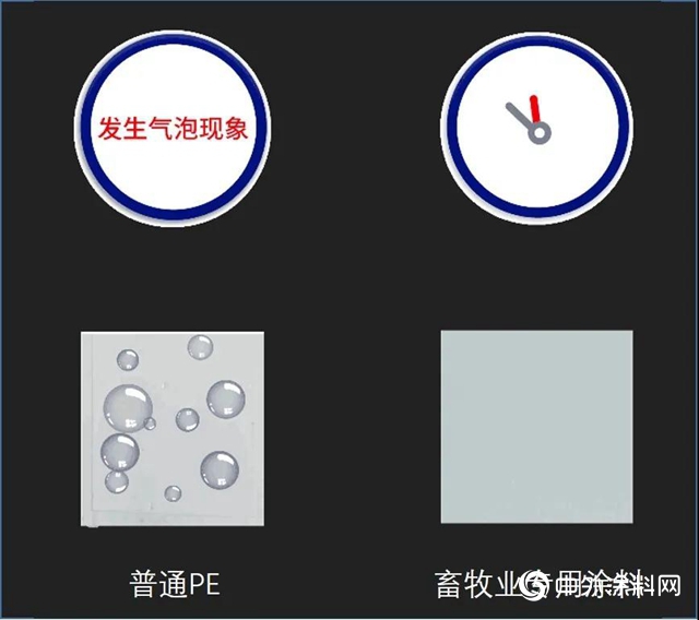 立邦助力現代畜牧業轉型升級，推進綠色農業發展