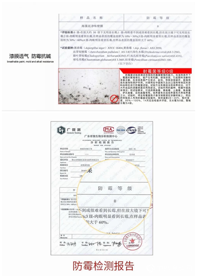 降解甲醛方式千萬種，直到遇見卡百利藝術塗料