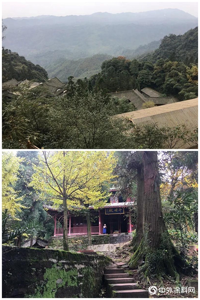 百舸爭流競稱雄，壁立千仞我為峰｜成都巴德士舉行重陽登山及團隊拓展活動