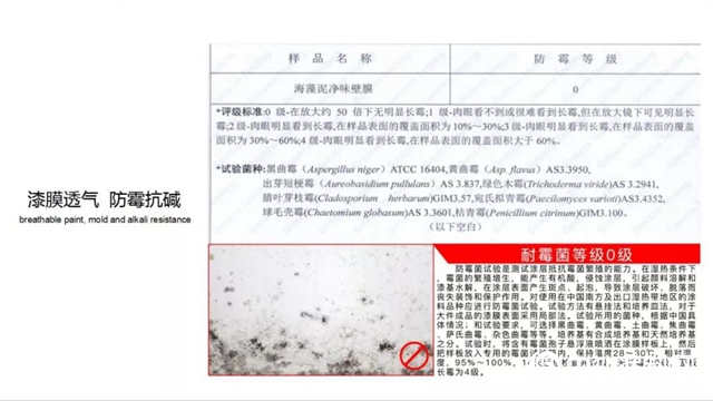 裝修怕甲醛？卡百利藝術塗料，刷出好空氣！