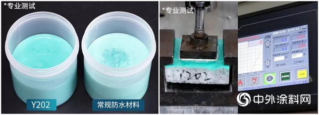 科順家庭防水防凍黑科技引人矚目，Y202新品首亮相！