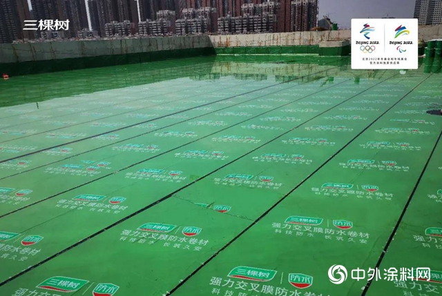 長築久安｜三棵樹防水助力武漢東(dong) 西湖文化中心建設