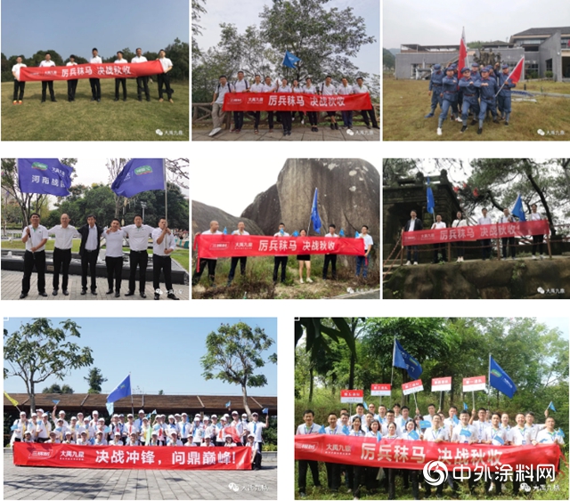 三棵樹·大禹九鼎全國戰團聯動問鼎巔峰！