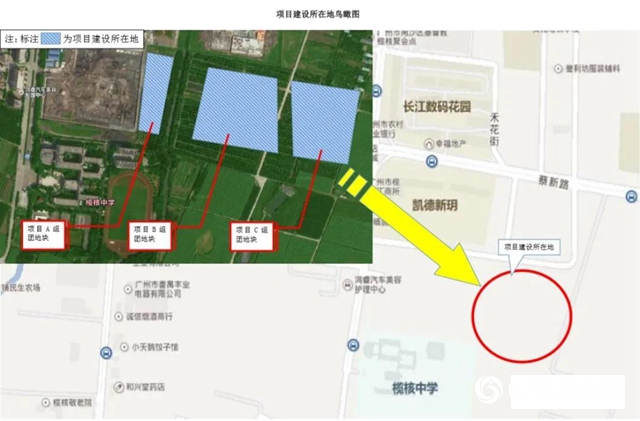 中標！入圍！三棵樹·大禹九鼎雙喜臨門！