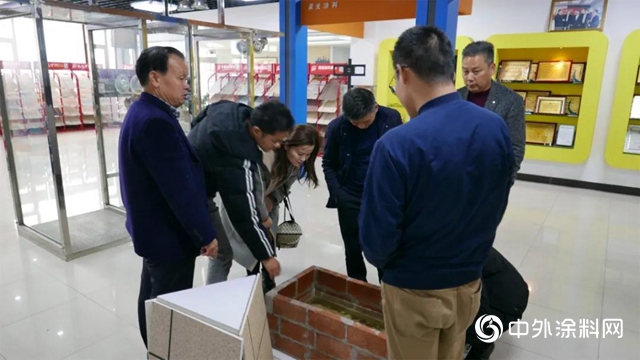 卓越口碑 信任不斷：星河國際地產(chan) 考察晨光集團