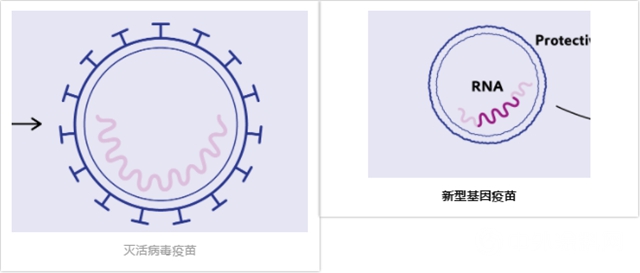 助力新冠疫苗研發！贏創為基因疫苗提供核心技術