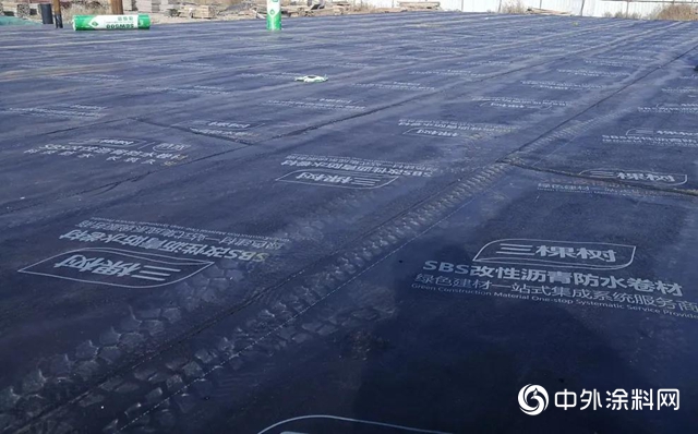 三棵樹防水助力內蒙古自治區第一大航空樞紐——呼和浩特白塔機場升級改造工程