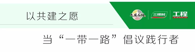 一築一風景｜三棵樹工程馬爾代夫項目，為(wei) “一帶一路”描繪精美“工筆畫”