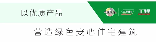 一築一風景｜三棵樹工程馬爾代夫項目，為(wei) “一帶一路”描繪精美“工筆畫”