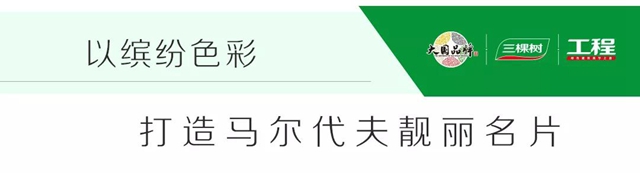 一築一風景｜三棵樹工程馬爾代夫項目，為(wei) “一帶一路”描繪精美“工筆畫”