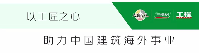 一築一風景｜三棵樹工程馬爾代夫項目，為(wei) “一帶一路”描繪精美“工筆畫”