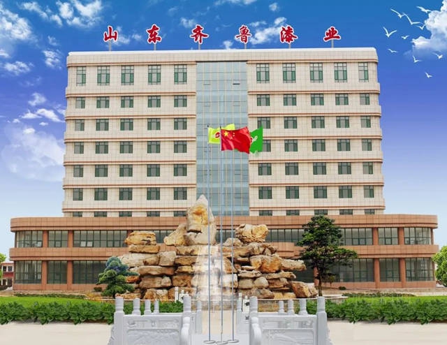斬獲20餘(yu) 項專(zhuan) 利，齊魯漆業(ye) 榮獲“聊城市功能塗料工程實驗室”稱號