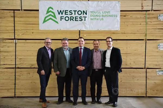 躲避關(guan) 稅！加拿大木材巨頭Weston Forest賣身美國