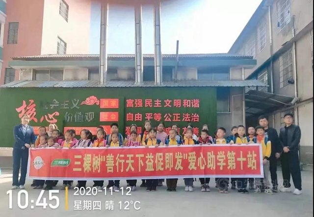 2020年度三棵樹“公益之星”評選已啟動，邀您來投票！