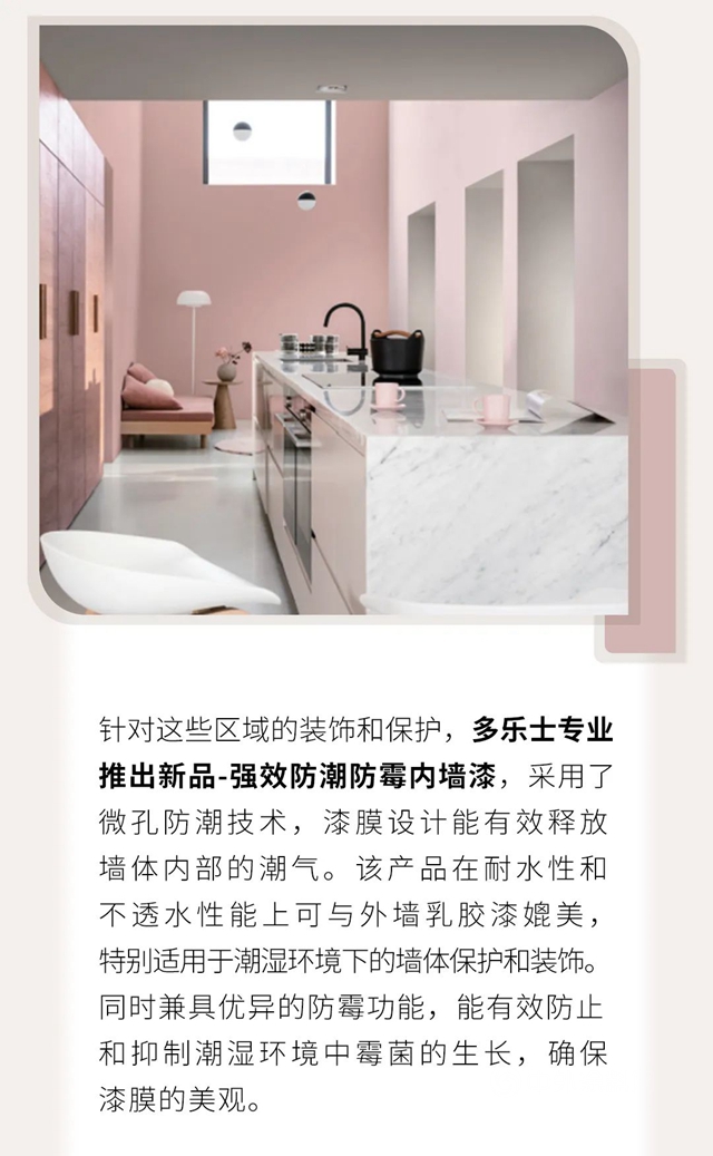 多樂(le) 士專(zhuan) 業(ye) 產(chan) 品｜強效防潮防黴塗料，抵抗春季潮濕發黴