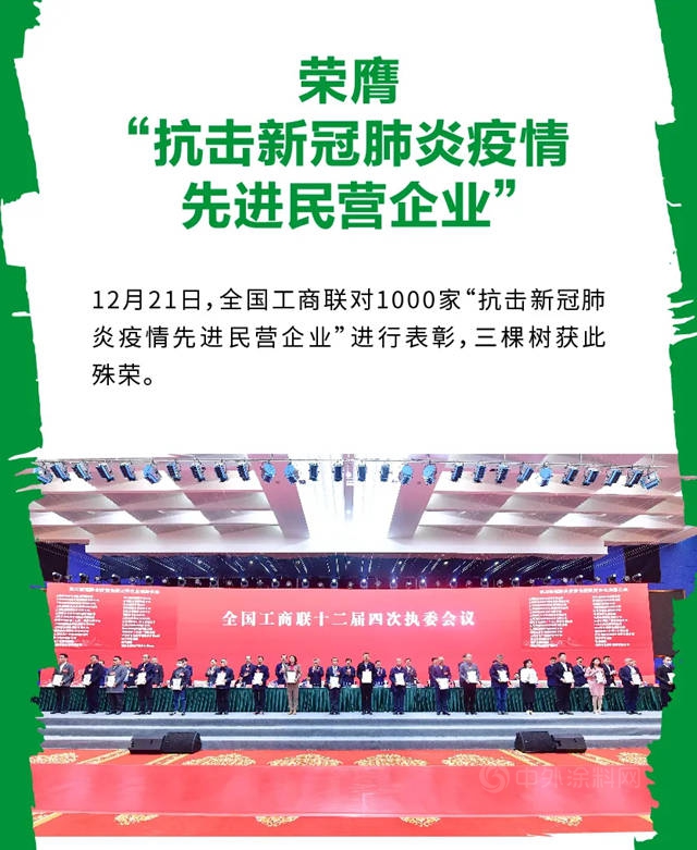 2020年三棵樹的24個(ge) 高光時刻