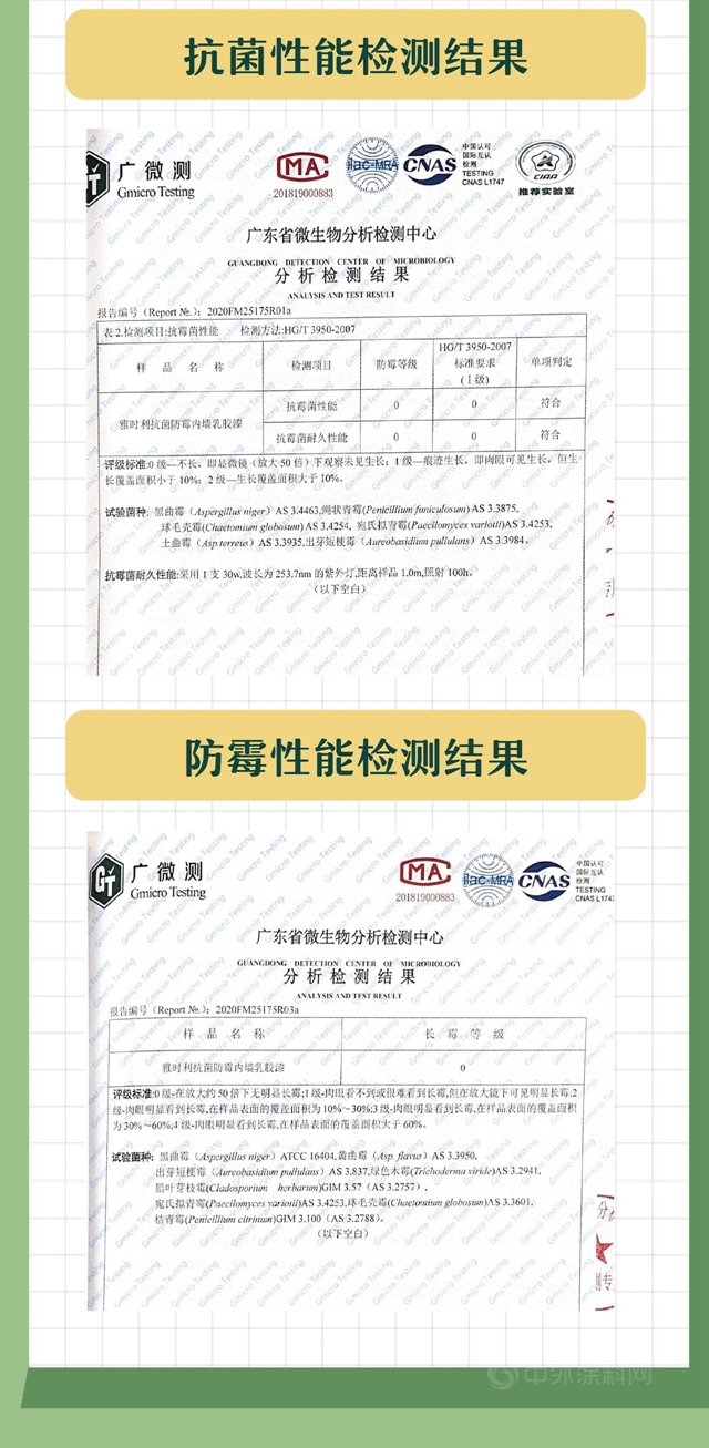 雅士利新品上市 | 既能抗菌，又能防黴