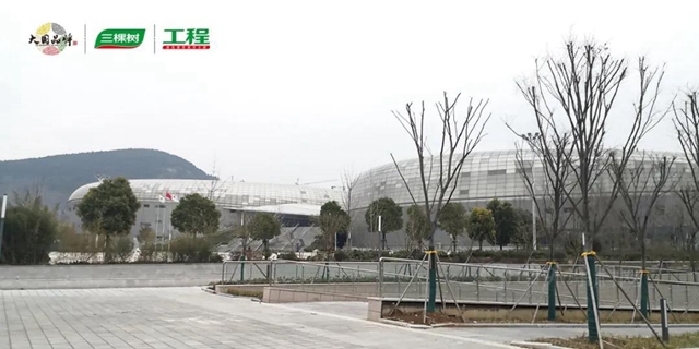一築一風景丨三棵樹再造標杆工程——棗莊市體(ti) 育中心