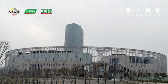 一築一風景丨三棵樹再造標杆工程——棗莊市體(ti) 育中心