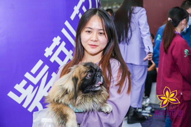 紫荊花｜2020乘風破浪穩中前行，2021不忘初心再攀高峰