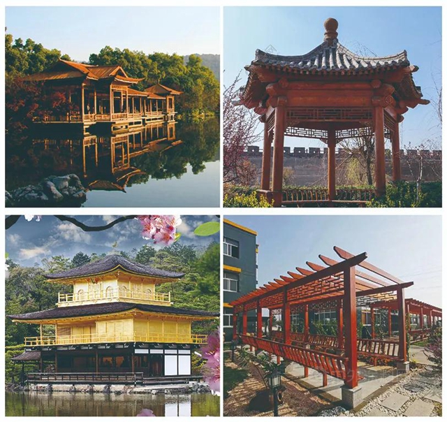 冠軍(jun) 集團【產(chan) 品知識】 高閃點淨味國標天然木油