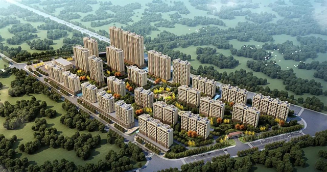 萊恩斯中標中昂集團戰略集采