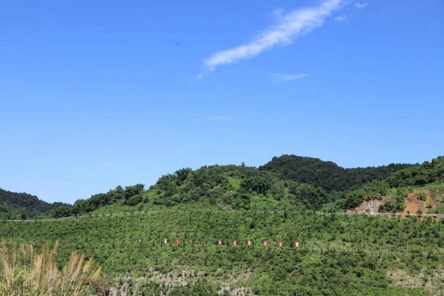 金隅冀東(dong) 又添8家全國綠色礦山！