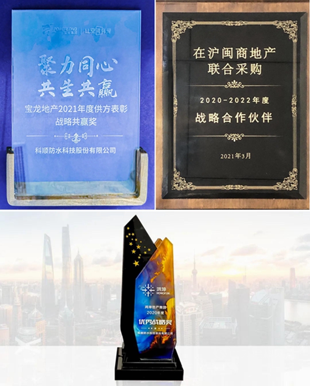 科順股份捷報頻傳(chuan) ，客戶嘉獎紛至遝來