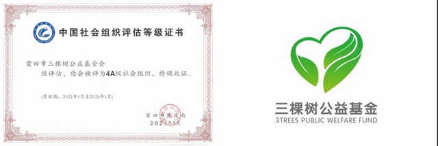 三棵樹公益基金會(hui) 榮獲中國社會(hui) 組織評估4A級榮譽稱號