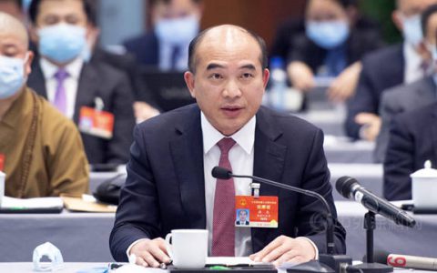 簡評三棵樹洪傑在人大會(hui) 上的發言