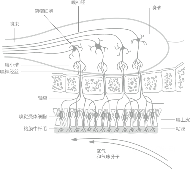 華潤塗料創立30周年！環保創新舉(ju) 措發布，盛大慶典好戲連台