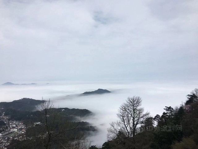 盛典奧斯卡,祈福九華山——卡百利藝術塗料2021經銷商年會(hui) 在安徽召開