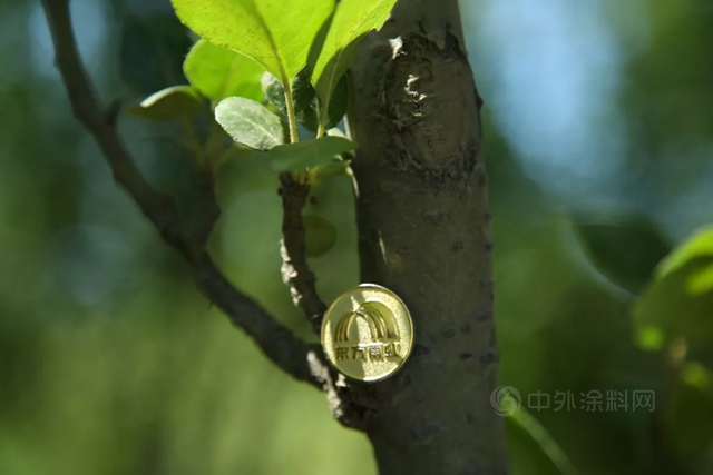 看，生長在東(dong) 方雨虹樓頂的“碳中和”