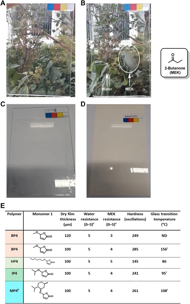 基於(yu) 糠醛的生物基樹脂有望替代傳(chuan) 統石油基丙烯酸酯，應用於(yu) 塗料領域