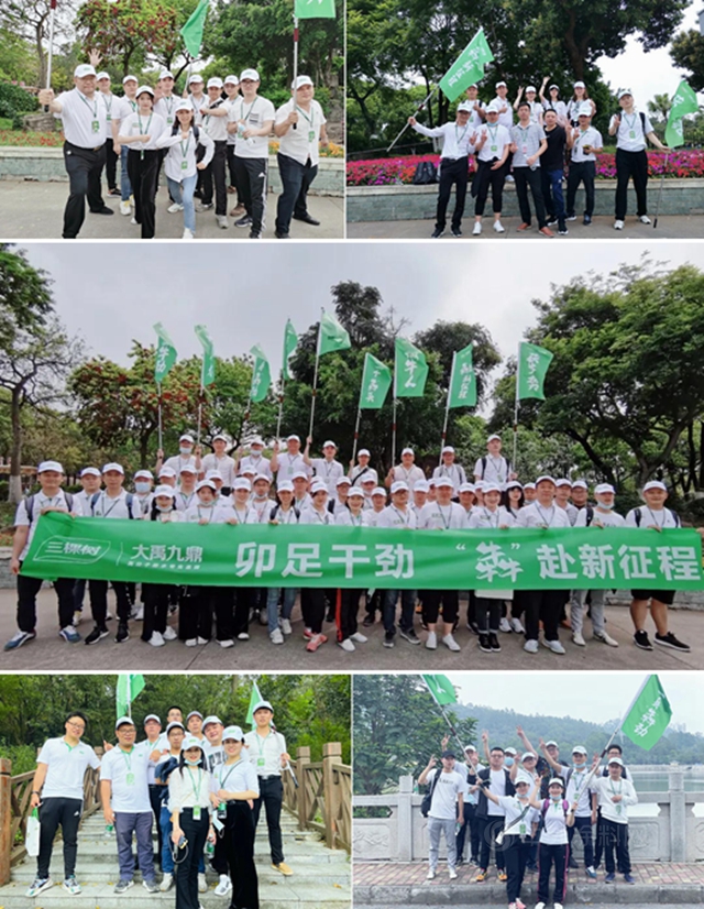 鉚足幹勁，犇赴新征程——三棵樹·大禹九鼎2021首期新員工培訓圓滿落幕