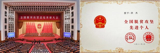 三棵樹2021年第一季度大事件