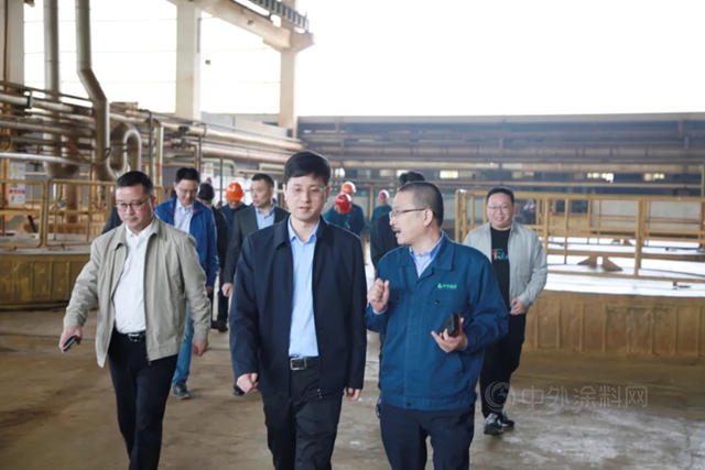 德清縣委領導一行蒞臨(lin) 華源顏料走訪調研