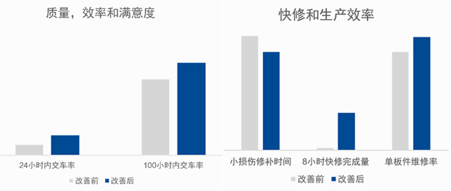 鸚鵡，寶馬ColorSystem原廠水性漆的好夥(huo) 伴