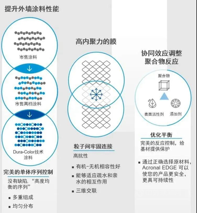 巴斯夫上海創新園三期正式啟動建設