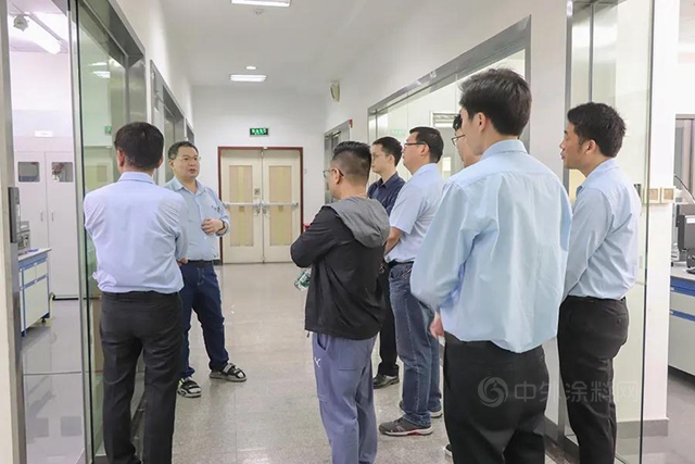 讓科凡智造家居讚歎不已的大寶漆，究竟有哪些魅力？