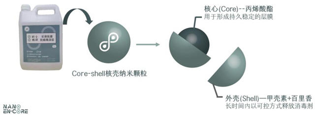 全球首創！紫荊花這項塗層黑科技獲國際發明展金獎