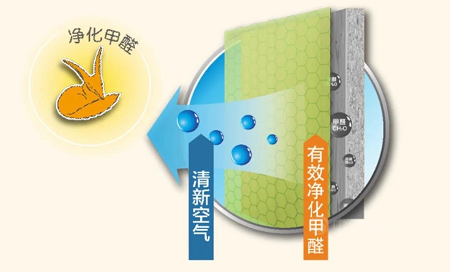 有效滅殺90％以上病毒，立邦兒(er) 童漆全新升級上市！