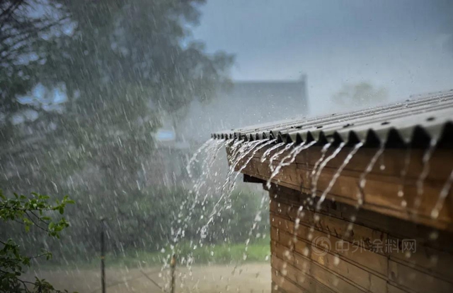 德愛威：梅雨季來了，牆麵防黴攻略