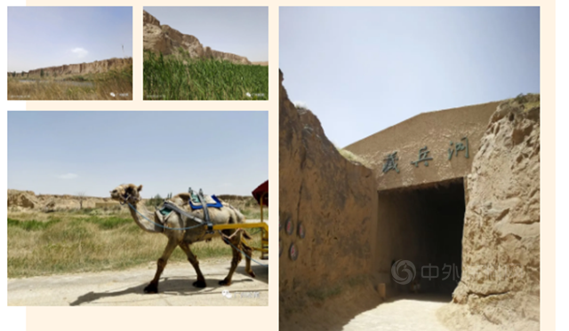 廣州鬆尾——寧夏之旅