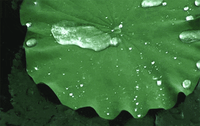 美惠石感漆水晶麵油（疏水版）璀璨上市